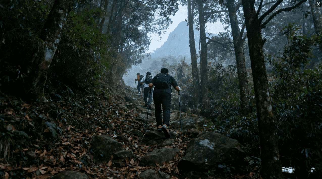 小火箭加速器的正式名称介绍